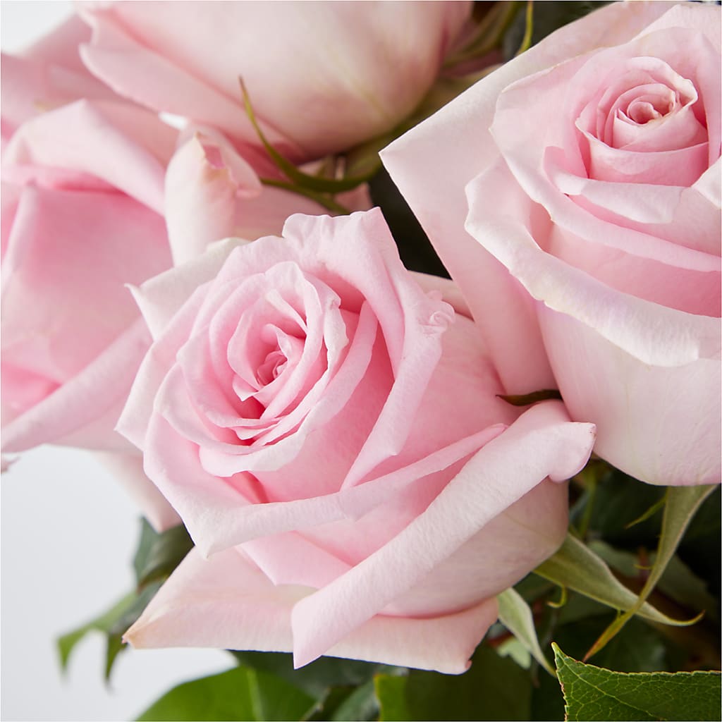 Picture Perfect Pink Rose Bouquet –  Charley Flowers Llc, Chillicothe OH